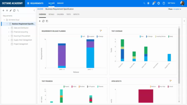 ALM Octane - The Basic of Requirements Management – Screenshot 2