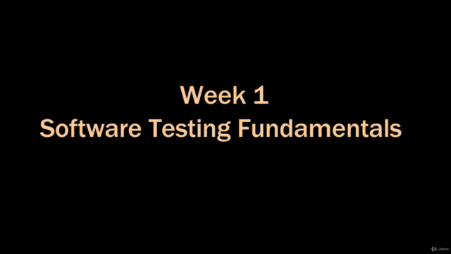 Software Testing Fundamentals – Screenshot 2