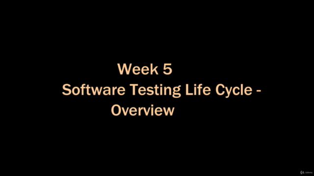 Software Testing Fundamentals – Screenshot 3