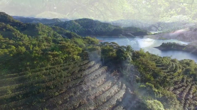 Modern Wisdom TG presents : Wellness Qigong by Wang Yun – Screenshot 3