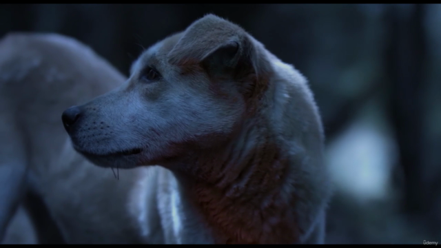 The Art of Filmmaking: Film Directing & Video Production – Screenshot 3