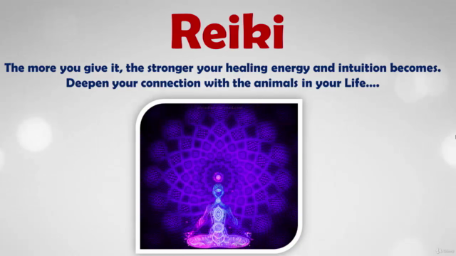 ANIMAL REIKI: Animal Reiki Energy Healing Certification! – Screenshot 4