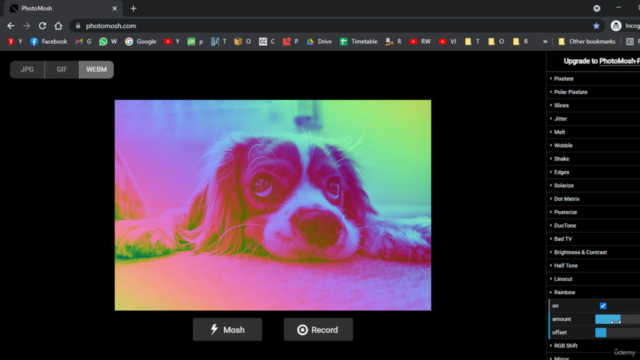 NFT – NFTs Essentials Training Course 2022 – Screenshot 3