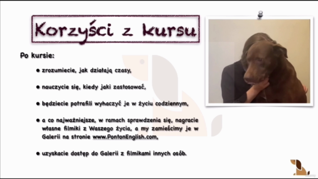 Czasy angielskiego - c z a s y - 3 sposoby (od A1 do B2) – Screenshot 3