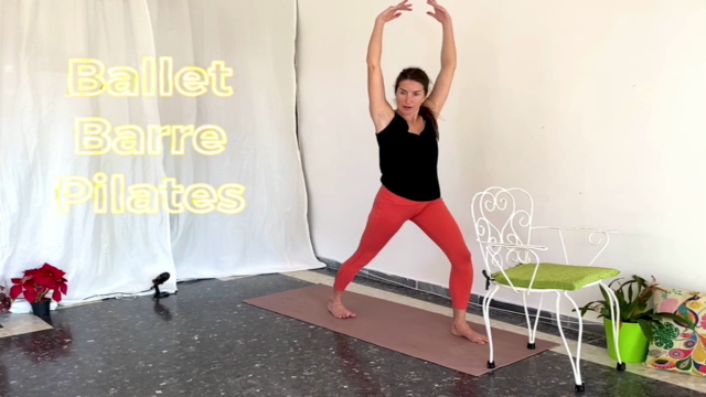 Ballet Barre Pilates - Body Sculpting, Grace & Balance – Screenshot 1