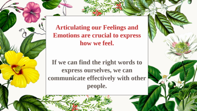 The Happy Malay - Learn Malay Language Feelings And Emotions – Screenshot 1