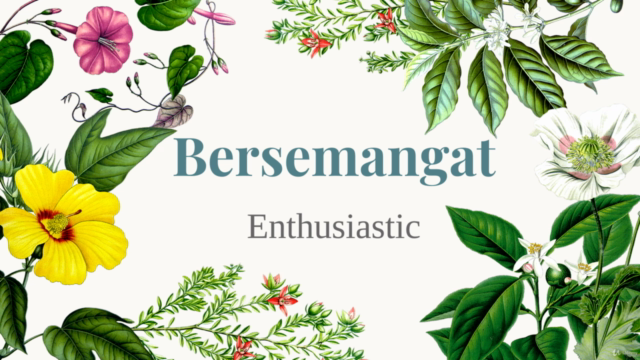 The Happy Malay - Learn Malay Language Feelings And Emotions – Screenshot 2