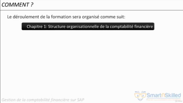 Gérer la Comptabilité Financière sur SAP – Screenshot 2