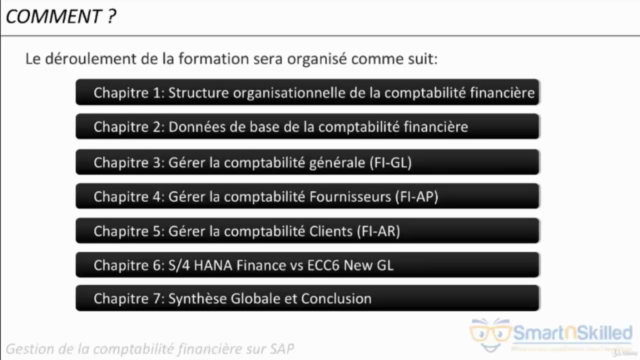 Gérer la Comptabilité Financière sur SAP – Screenshot 3