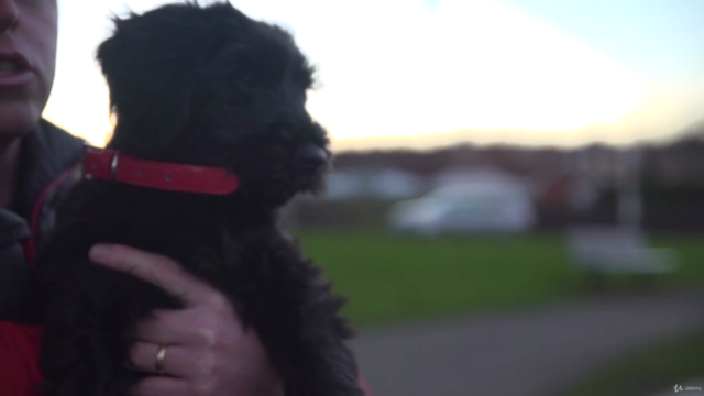 The Perfect Puppy Project - Perfect for inexperienced owners – Screenshot 3