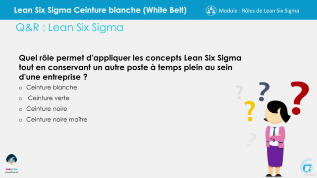Lean Six Lean Six Sigma Champion  (CLSSC) - Screenshot_04