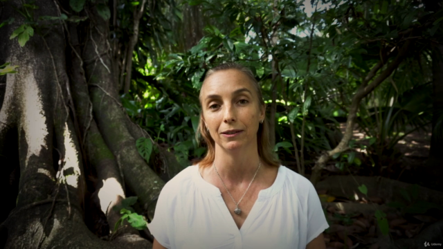 Forest Bathing in Challenging Times – Screenshot 2