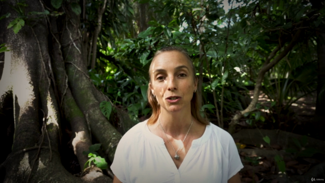 Forest Bathing in Challenging Times – Screenshot 4
