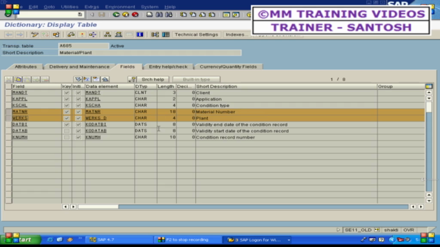 SAP MM ECC Short Course - Part 2 – Screenshot 2