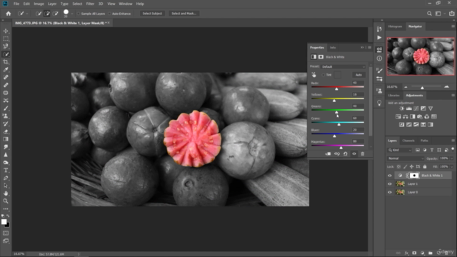 Creative Bootcamp- Master Adobe Illustrator and Photoshop – Screenshot 2