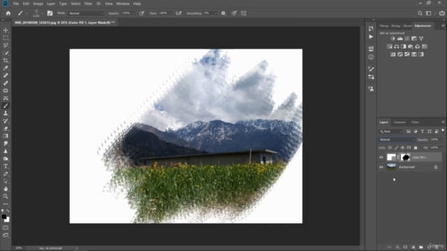 Creative Bootcamp- Master Adobe Illustrator and Photoshop – Screenshot 3