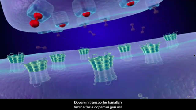 İnternet Bağımlılığı – Screenshot 4