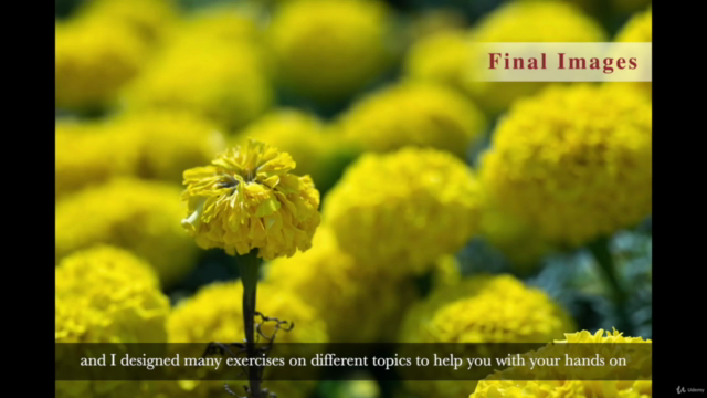 Basic Photography Course : From Basic to Perfect – Screenshot 4