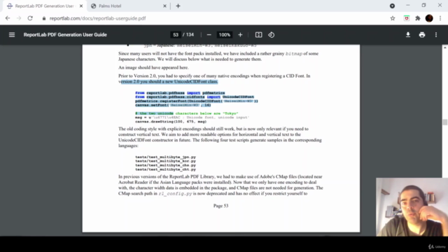 Python ReportLab de Iniciante a Vencedor – Screenshot 2