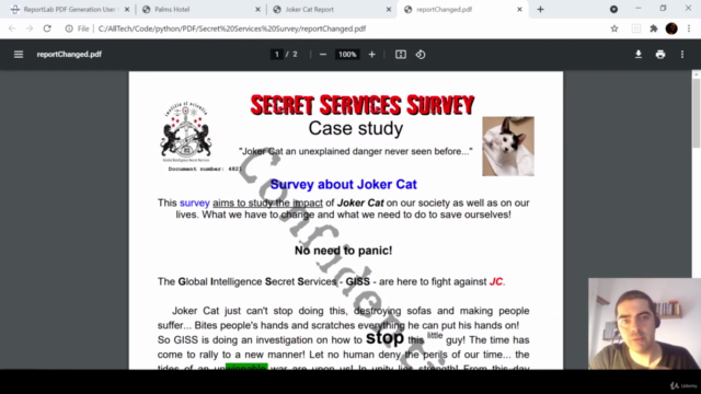 Python ReportLab de Iniciante a Vencedor – Screenshot 4
