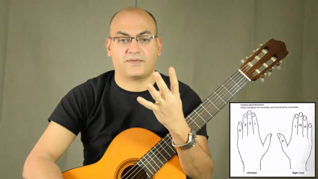 Classical Guitar Essentials - The Basics Part 1 – Screenshot 4