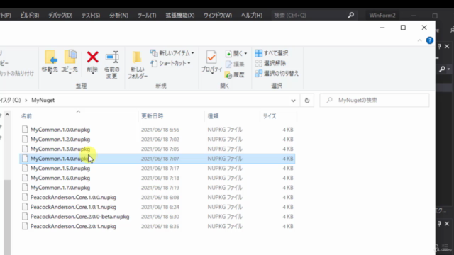 C#の自作クラスライブラリをNuGetパッケージでバージョン管理する方法 – Screenshot 4