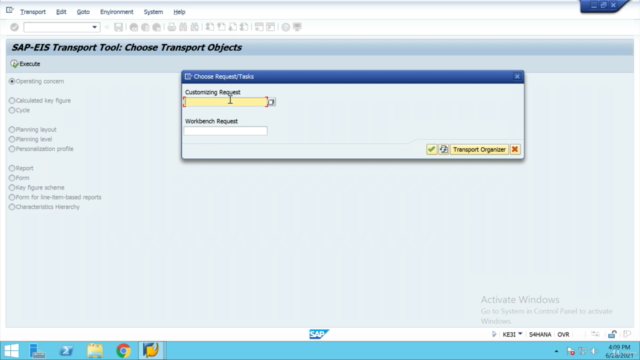 Account based COPA in SAP S/4 HANA with "Margin Analysis" – Screenshot 2