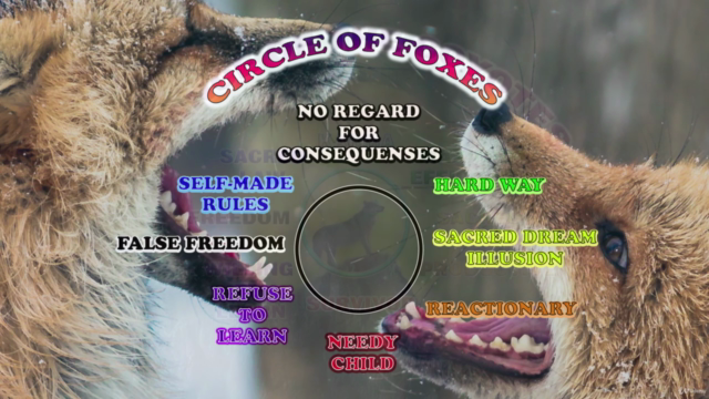 The Native American Warrior's Walk - Empowerment motivation – Screenshot 4