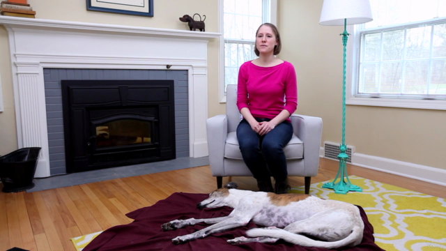 Stress-Free Dog Nail Trimming Course – Screenshot 1
