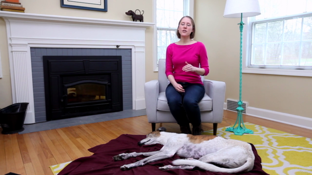 Stress-Free Dog Nail Trimming Course – Screenshot 2