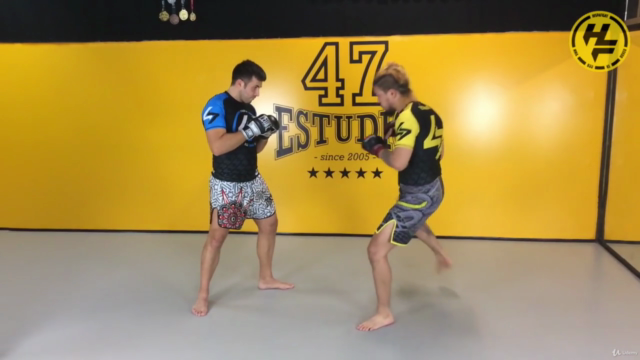 MMA | Básico en Español – Screenshot 4
