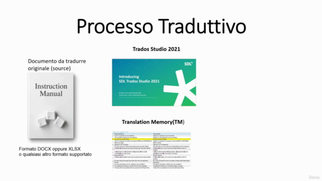 Aggiornato Trados Studio 2024 - OpenAI technology ITALIANO – Screenshot 3