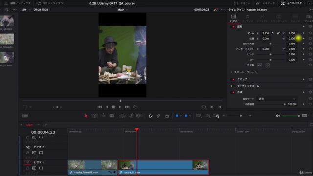 DaVinci Resolve トラブル解決Q&A大全 / ダヴィンチリゾルブ応用編 – Screenshot 2
