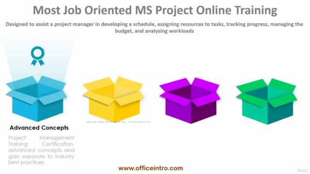 Microsoft Project Basic Course in Hindi – Screenshot 2