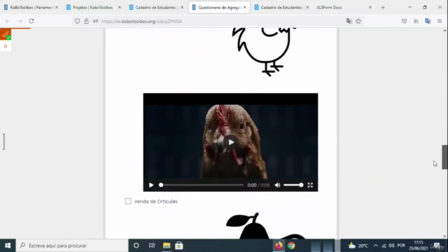 KoboToolbox e XLSForm do Básico a Avançado – Screenshot 2