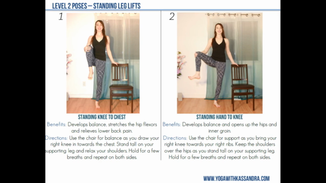 Chair Yoga for Seniors & Beginners – Screenshot 4