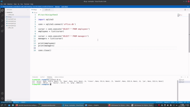SQLite databases with Python – Screenshot 2