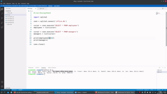 SQLite databases with Python – Screenshot 3