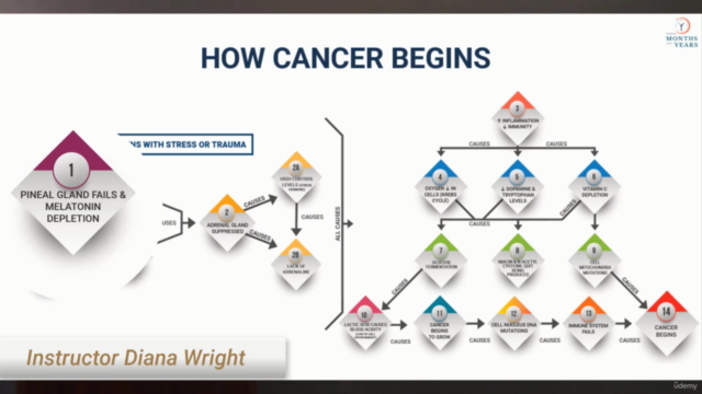 Become A Natural Cancer Protocol Practitioner – Screenshot 3