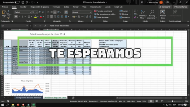 EXAMEN MO-201 EXCEL EXPERT – Screenshot 4