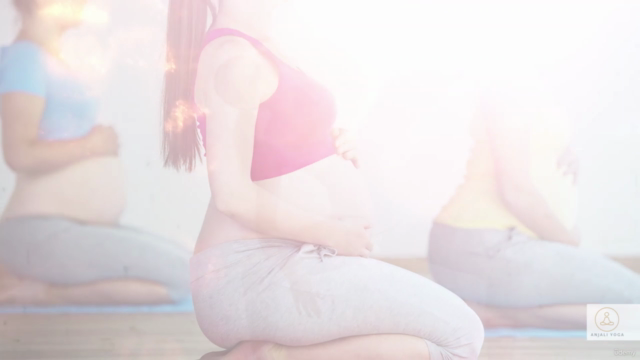 Pregnancy Yoga Teacher Training Certificate Course – Screenshot 2