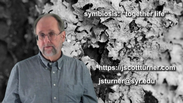 A primer on symbiosis – Screenshot 2