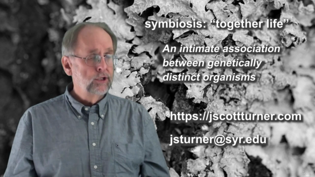 A primer on symbiosis – Screenshot 3