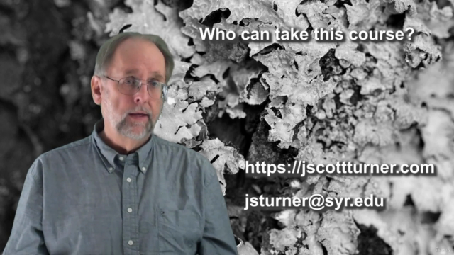 A primer on symbiosis – Screenshot 4