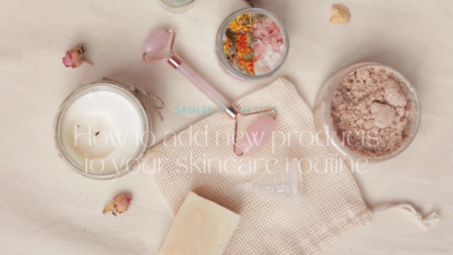 FREE COURSE - Learn How to Use Canva for Marketing Your Spa – Screenshot 1