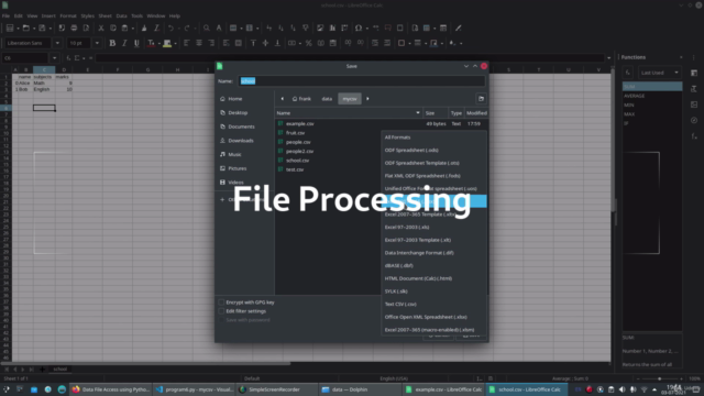 File Processing with Python - Screenshot_01