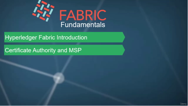 Learn Hyperledger Fabric Fundamentals – Screenshot 2