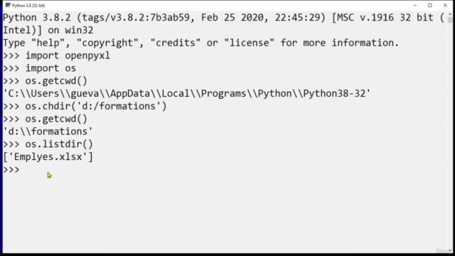 Apprendre comment manipuler des classeurs avec OpenPyxl – Screenshot 3