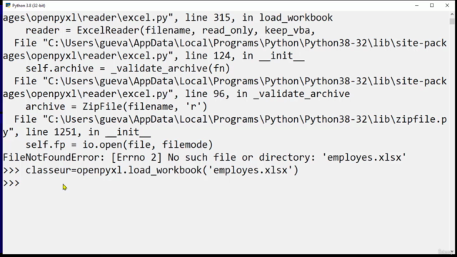 Apprendre comment manipuler des classeurs avec OpenPyxl – Screenshot 4