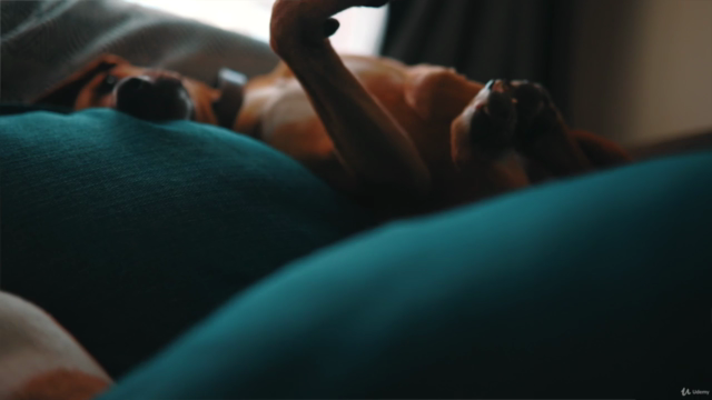 Understanding The Camera| Shoot Cinematic Video Today – Screenshot 3